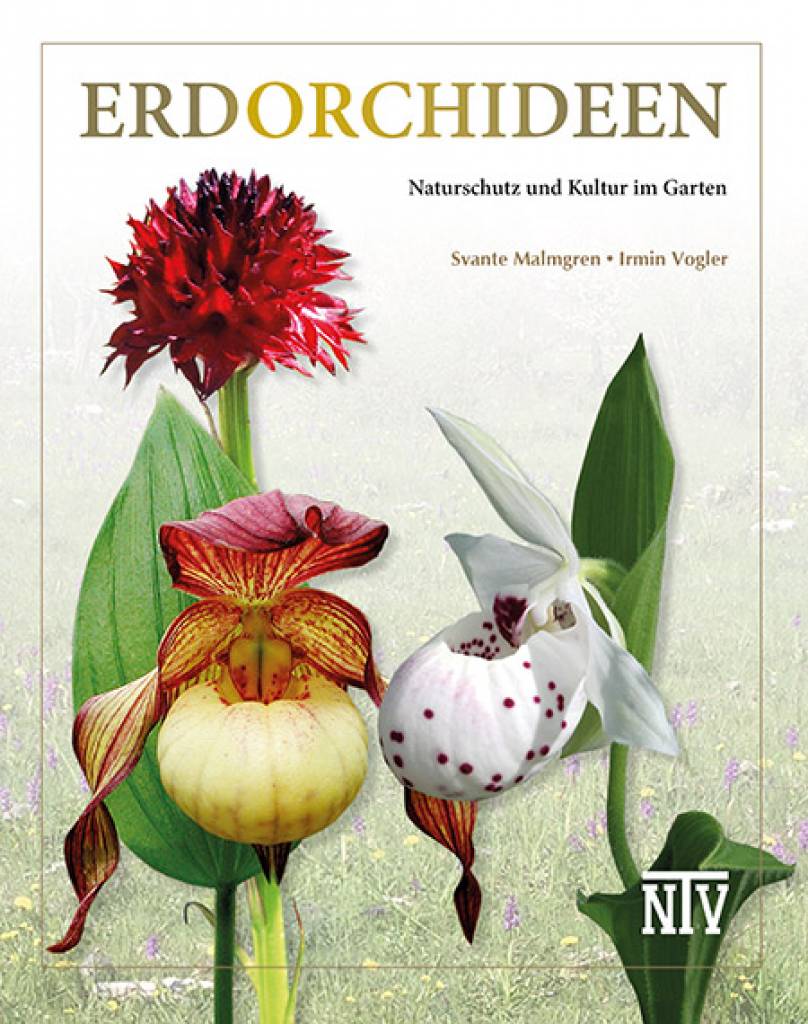 Erdorchideen – Naturschutz und Kultur im Garten